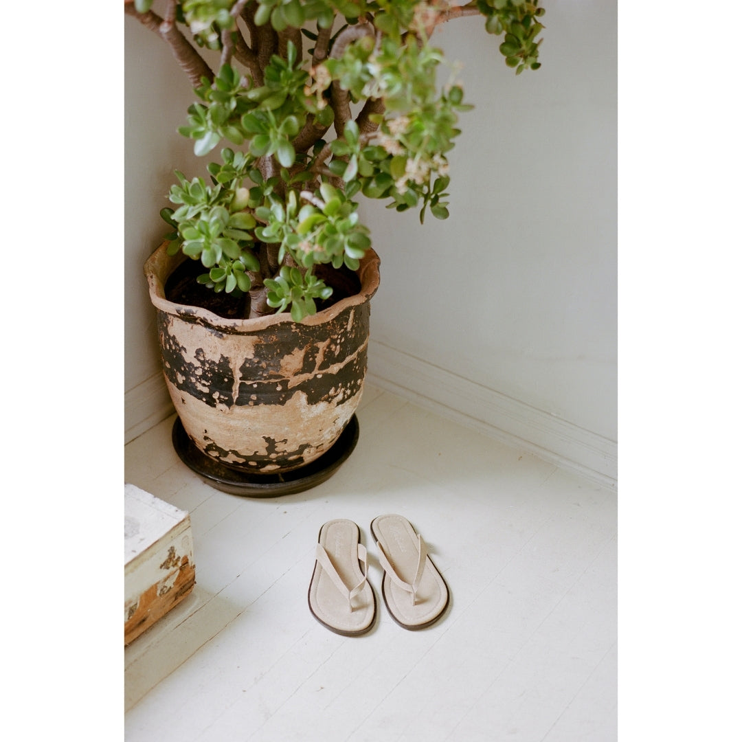 Taupe Leo flip flop sandal Matisse Footwear On Sale