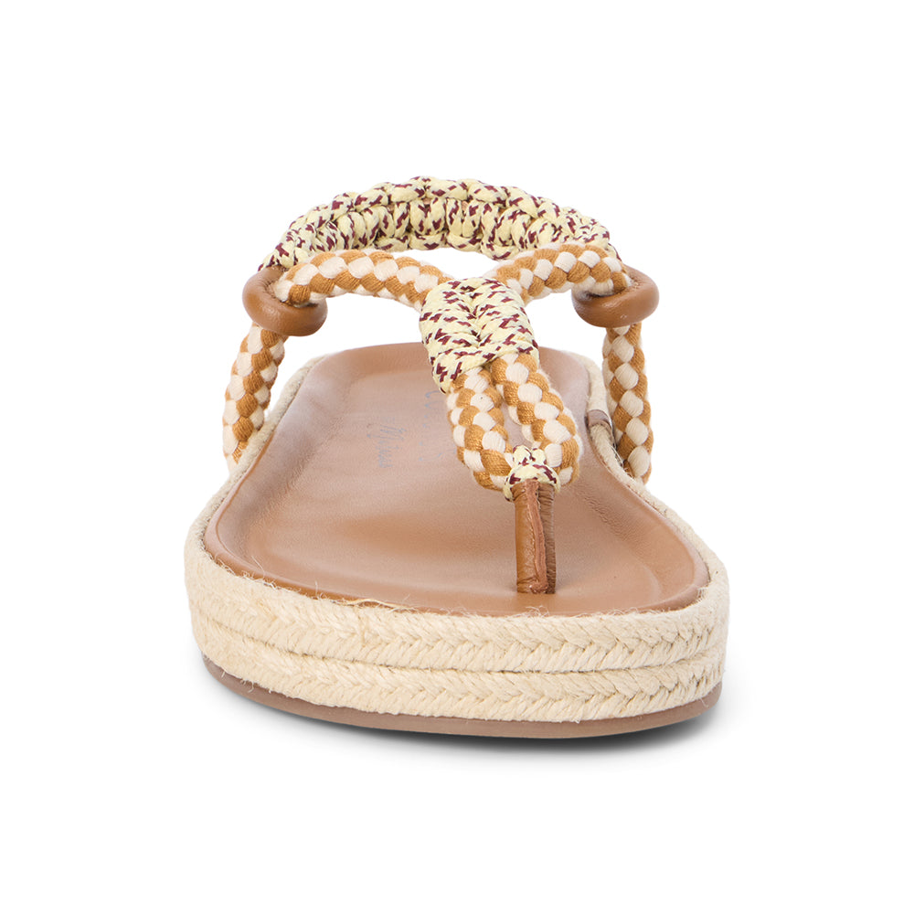 Tan Multi Celia thong sandal Matisse Footwear Online Shop